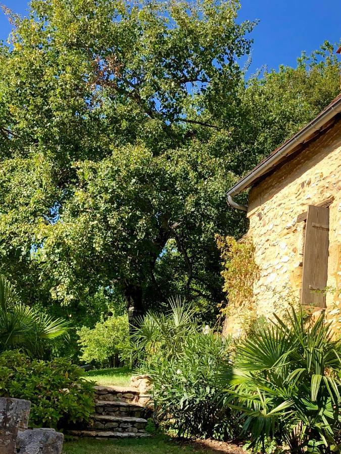 La Maison D'Alice 韦扎克 外观 照片